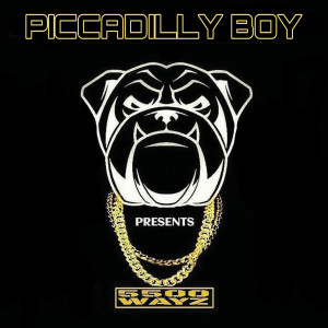 Listen to Toaster (Explicit) song with lyrics from Piccadilly Boy