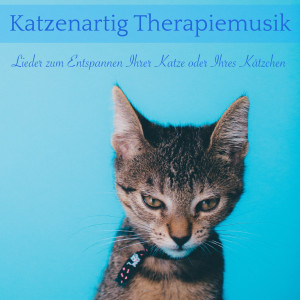 Dengarkan Heilender Wind lagu dari Cat Music Dreams dengan lirik