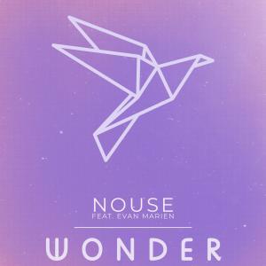 Nouse的專輯Wonder (feat. Evan Marien)