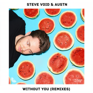 收聽Steve Void的Without You (VIP Mix)歌詞歌曲
