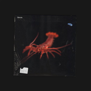 ดาวน์โหลดและฟังเพลง marvin (Explicit) พร้อมเนื้อเพลงจาก schafter