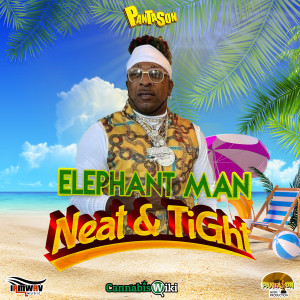 Elephant Man的專輯Neat & Tight (Explicit)