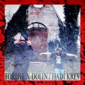 收听Dolin的Hadí Krev(feat. Forlife) (Explicit)歌词歌曲