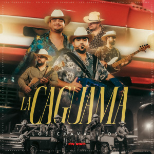 Listen to He Cambiado (En Vivo) song with lyrics from Los Chavalitos