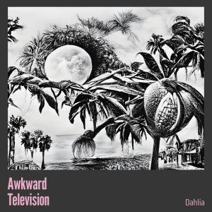 Album Awkward Television from Dahlia