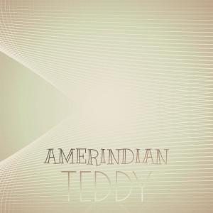 Amerindian Teddy dari Various