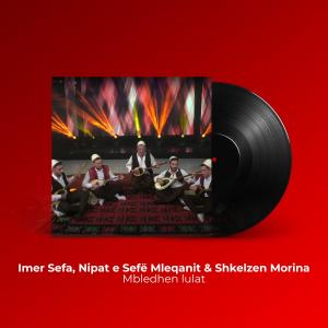 收聽Imer Sefa的Mbledhen lulat歌詞歌曲