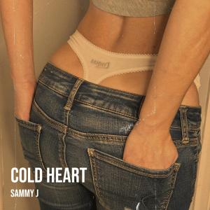 Sammy J的專輯Cold Heart