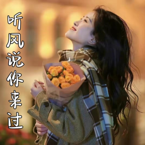 Album 听风说你来过 from 颜末的十年
