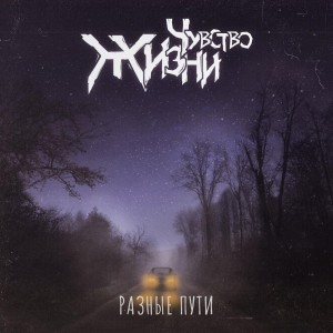 Listen to Разные пути song with lyrics from Чувство Жизни