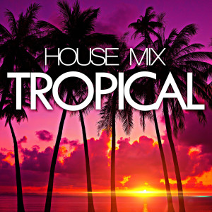 Remixed Factory的专辑Tropical House Mix