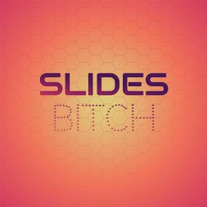 Various Artists的專輯Slides Bitch