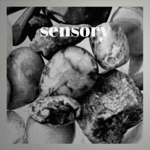 Album Sensory oleh Various Artists