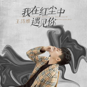 收听王清维的我在红尘中遇见你 (翻唱)歌词歌曲