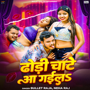 Listen to Dhodi Chate Aa Gaila song with lyrics from Bullet Raja