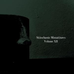 Al Goranski的專輯Stochastic Miniatures Volume XII