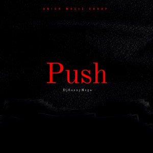 อัลบัม Push ศิลปิน DjSunnyMega