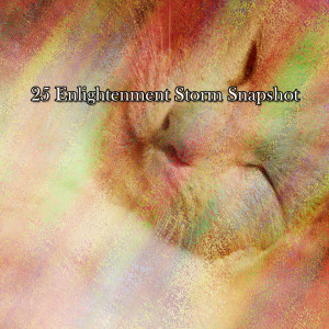 25 Enlightenment Storm Snapshot