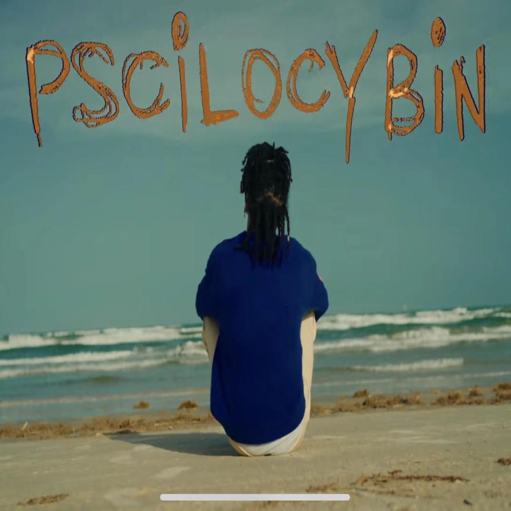 Pscilocybin