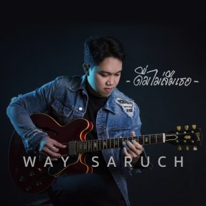 ดาวน์โหลดและฟังเพลง ดื่มไม่ลืมเธอ พร้อมเนื้อเพลงจาก WAY SARUCH