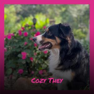 Listen to Gesture Yours song with lyrics from Celma Stann