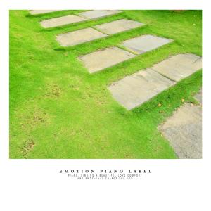 Album Comfortable New Age piano for a relaxing afternoon stroll from Various Artists