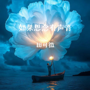 Album 如果思念有声音 from 田可微