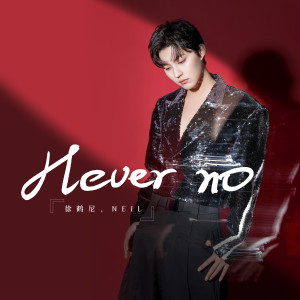 Listen to Never No song with lyrics from 徐鹤尼