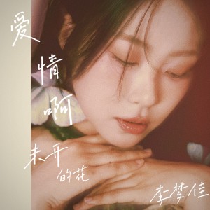 Listen to 爱情啊未开的花伴奏 (伴奏) song with lyrics from 李梦佳