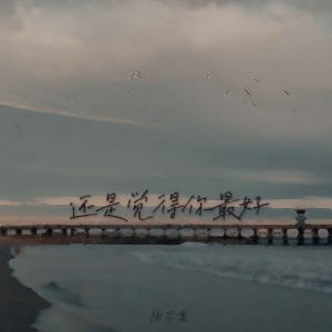Listen to 还是觉得你最好(cover张学友) song with lyrics from 陆不离