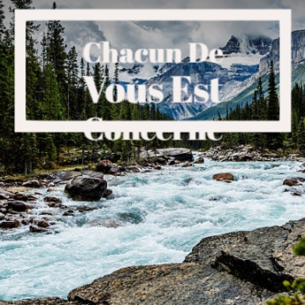 Chacun De Vous Est Concerne