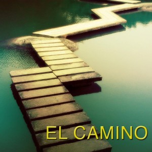 收聽Vinicius Cantuaria的Mi Declaracion歌詞歌曲