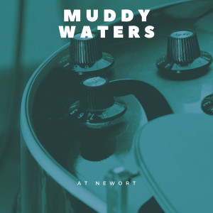 Muddy Waters的專輯At Newort