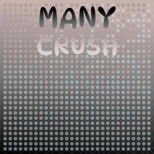 Various Artists的專輯Many Crush