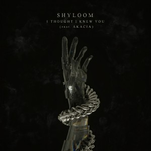 ดาวน์โหลดและฟังเพลง I Thought I Knew You พร้อมเนื้อเพลงจาก Shyloom
