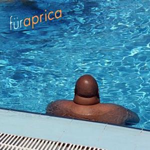 Listen to The Night song with lyrics from Fur
