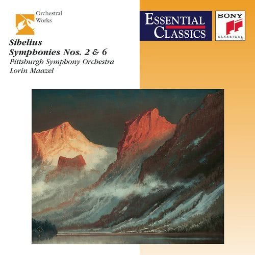 Symphony No. 2 in D Major, Op. 43: I. Allegretto