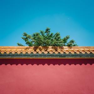 Listen to Zen Forest song with lyrics from Spa Music Relaxation