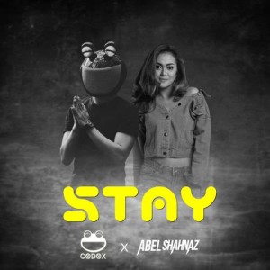 收聽Codox的Stay歌詞歌曲