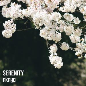 ดาวน์โหลดและฟังเพลง Serenity พร้อมเนื้อเพลงจาก Akayo