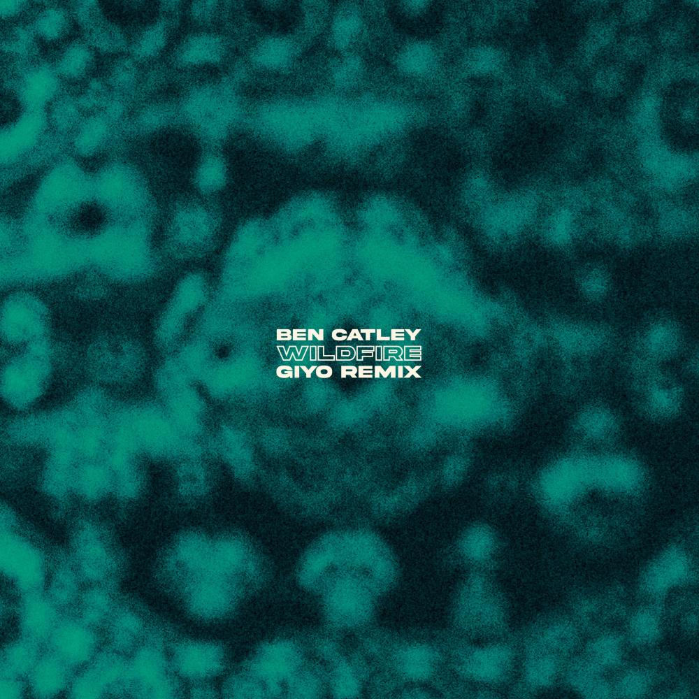 Wildfire (Giyo Remix)