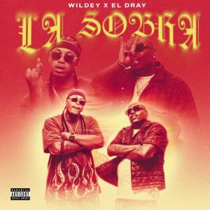 ดาวน์โหลดและฟังเพลง LA SOBRA (Explicit) พร้อมเนื้อเพลงจาก Wildey