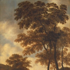 Listen to Thiên Thai (Original) song with lyrics from Anh Vu