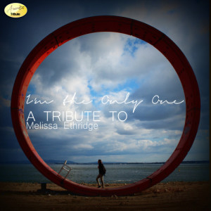 ดาวน์โหลดและฟังเพลง I'm the Only One พร้อมเนื้อเพลงจาก Ameritz - Tribute
