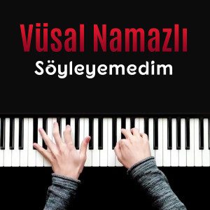 Listen to Söyleyemedim song with lyrics from Vüsal Namazlı