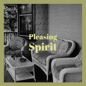 Album Pleasing Spirit from Various