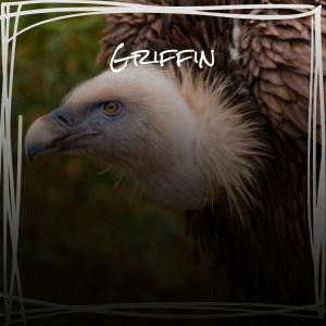 Album Griffin oleh Various