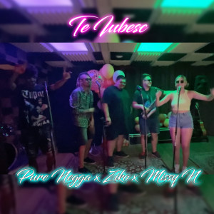 Listen to Te Iubesc song with lyrics from Pure Negga