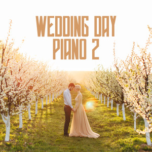 Album Wedding Day Piano 2 from Various Artists