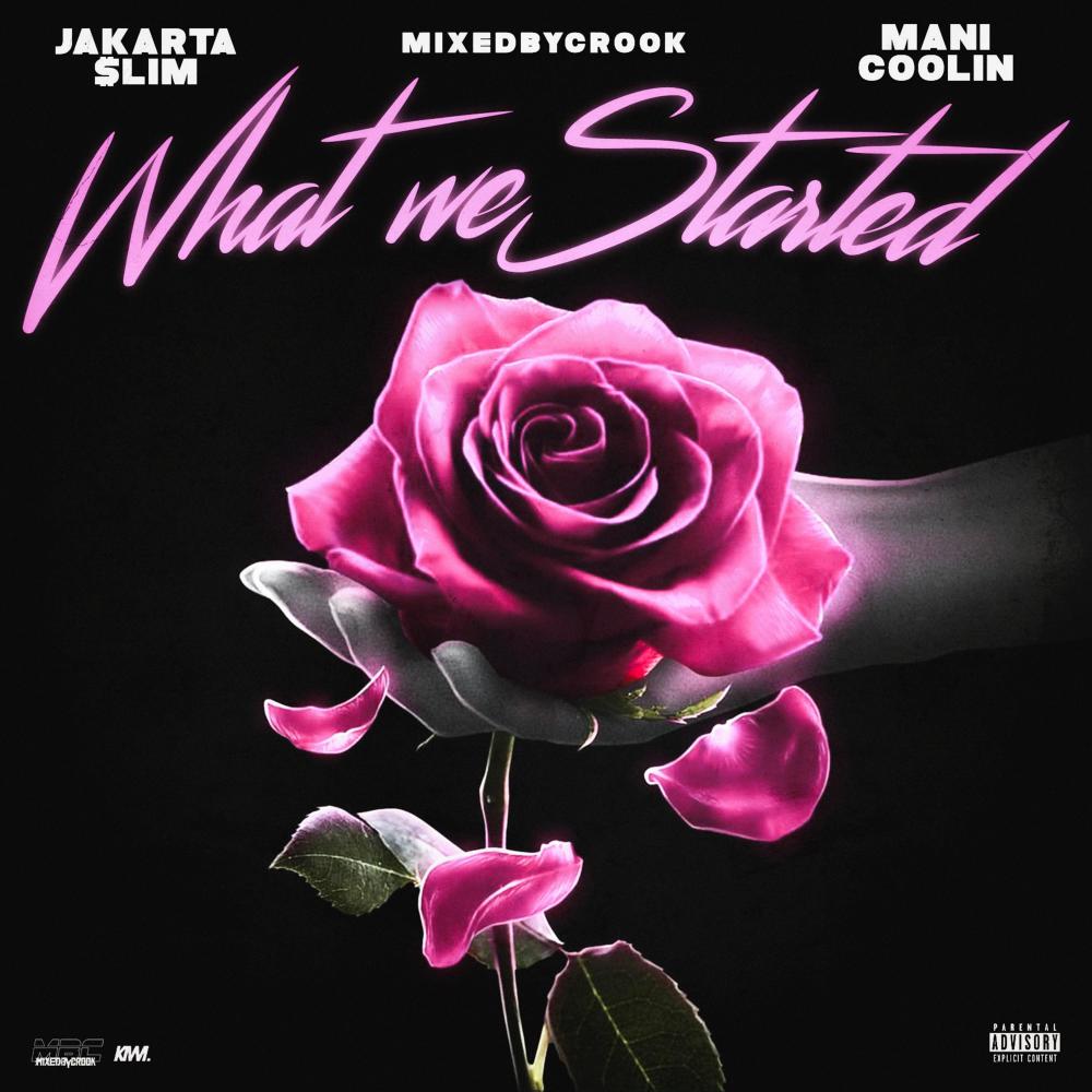 What We Started (Explicit)